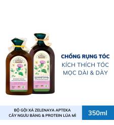 Dầu gội/  xả Green Pharmacy chống rụng tóc cây ngưu bàng và protein lúa mì 300ml