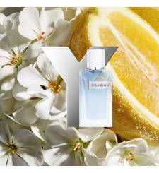 Nước Hoa Nam YSL Y Eau Fraiche