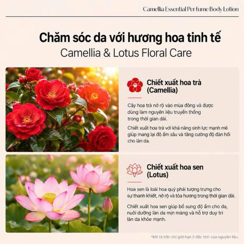 LOUVCELL CAMELLIA ESSENTIAL PERFUME BODY LOTION – DƯỠNG ẨM VÀ LƯU HƯƠNG HOA TRÀ CHO CƠ THỂ