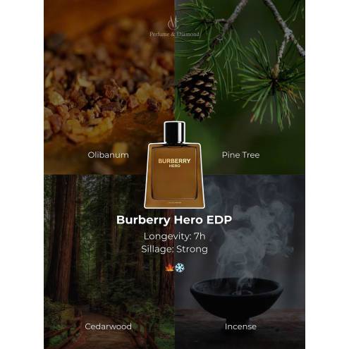 Nước Hoa Nam Burberry Hero EDP