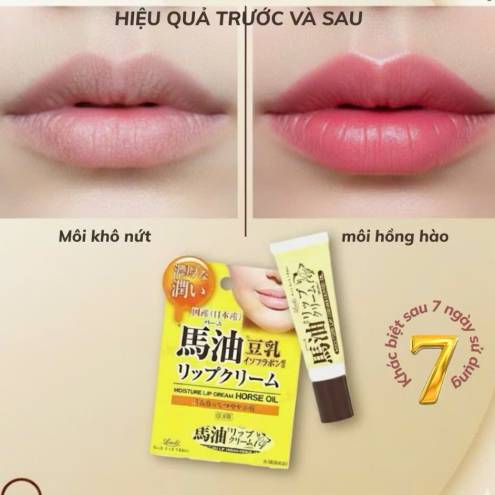 Son Dưỡng Loshi Horse Oil Moisture Lip Cream Dưỡng Ẩm Mềm Môi Nhật Bản Thỏi 10g 