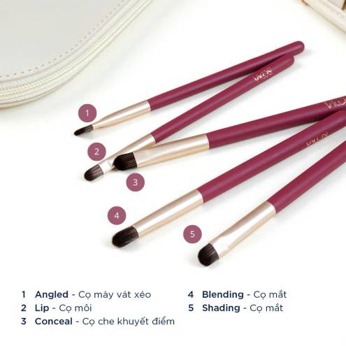 Bộ cọ Vacosi Sisterland Brush 8 cây (BC31)