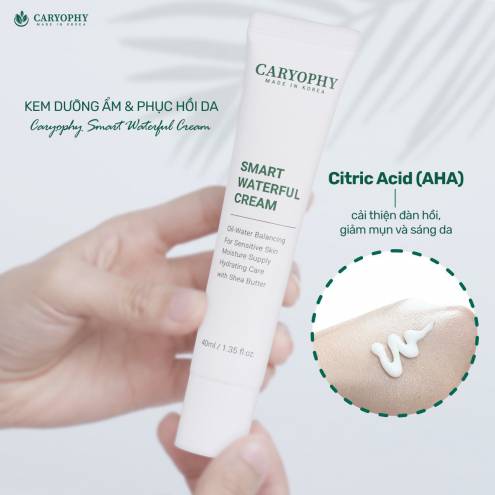 Kem Dưỡng Ẩm, Cấp nước Và Phục Hồi Cho Da Mụn Caryophy Smart Waterful Cream 40ml