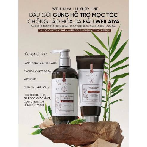 Bộ dầu gội gừng hỗ trợ mọc tóc và chống lão hóa da đầu Weilaiya Luxury 420mlx200ml