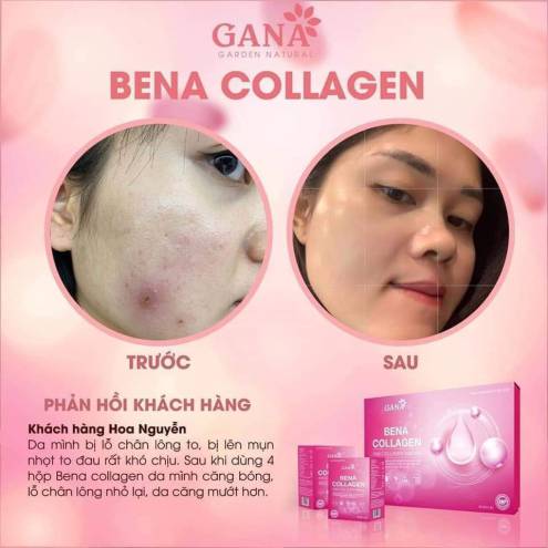 Bổ Sung Collagen Dạng Bột BENA COLLAGEN GANA  