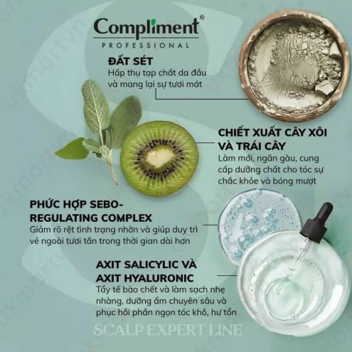 Tẩy Tế Bào Chết Da Đầu, Kiểm Soát Dầu & Ngừa Gàu Compliment Professional Scalp Expert Line Scrub 300ml